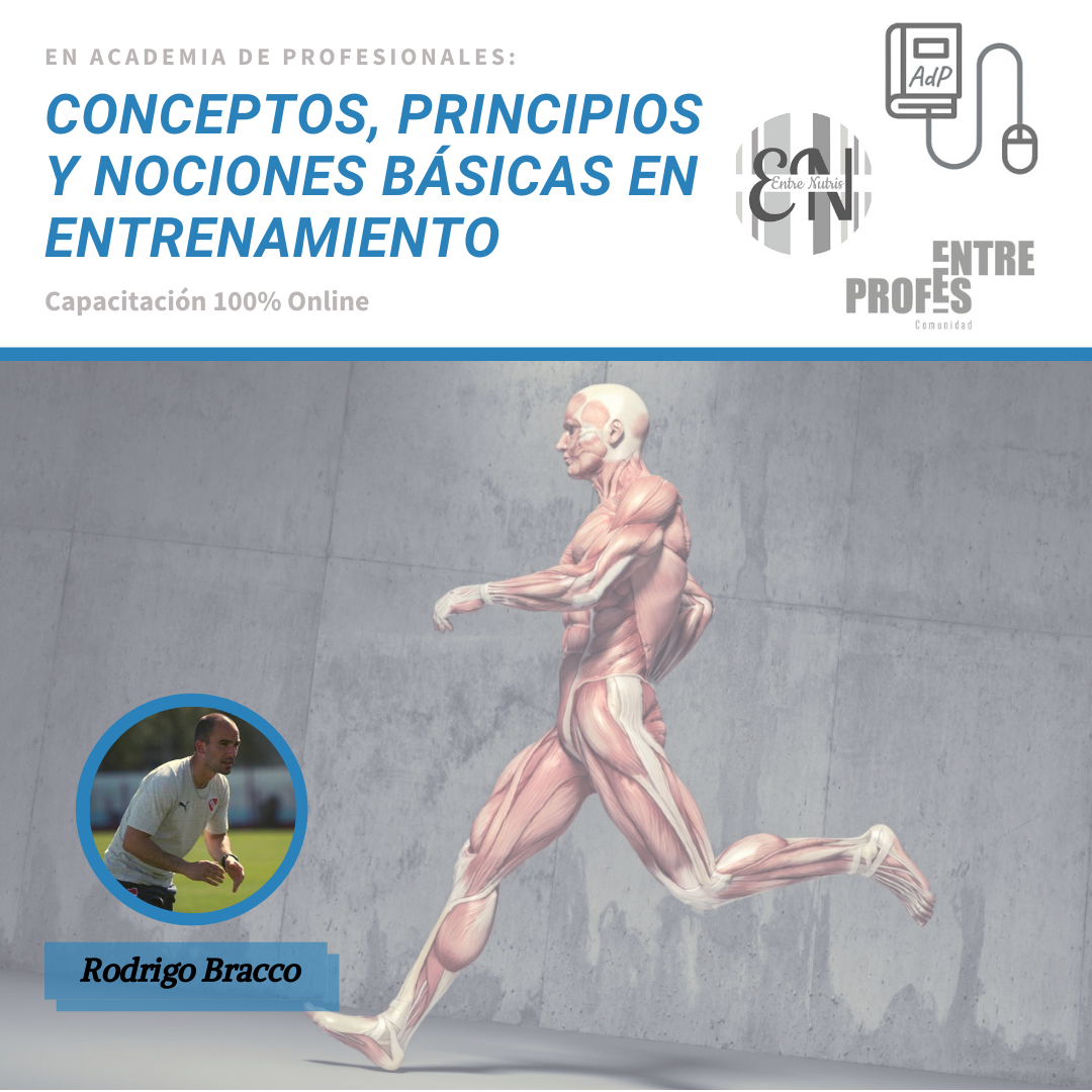 Conceptos, Principios y Nociones Básicas en Entrenamiento