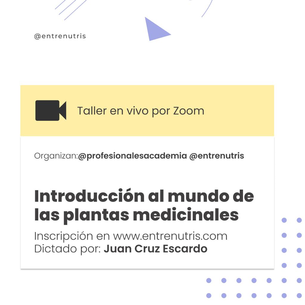 Taller Entre Nutris «Introducción al Mundo de las Plantas Medicinales»